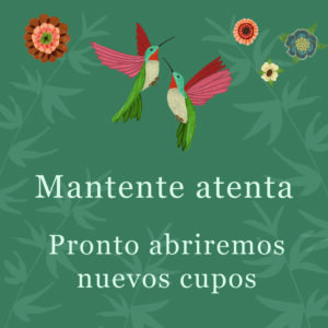 Producto disponible sólo en PREVENTA :)